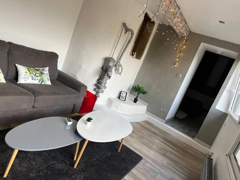 Appartement de caractère Apartment in Auvergne-Rhône-Alpes