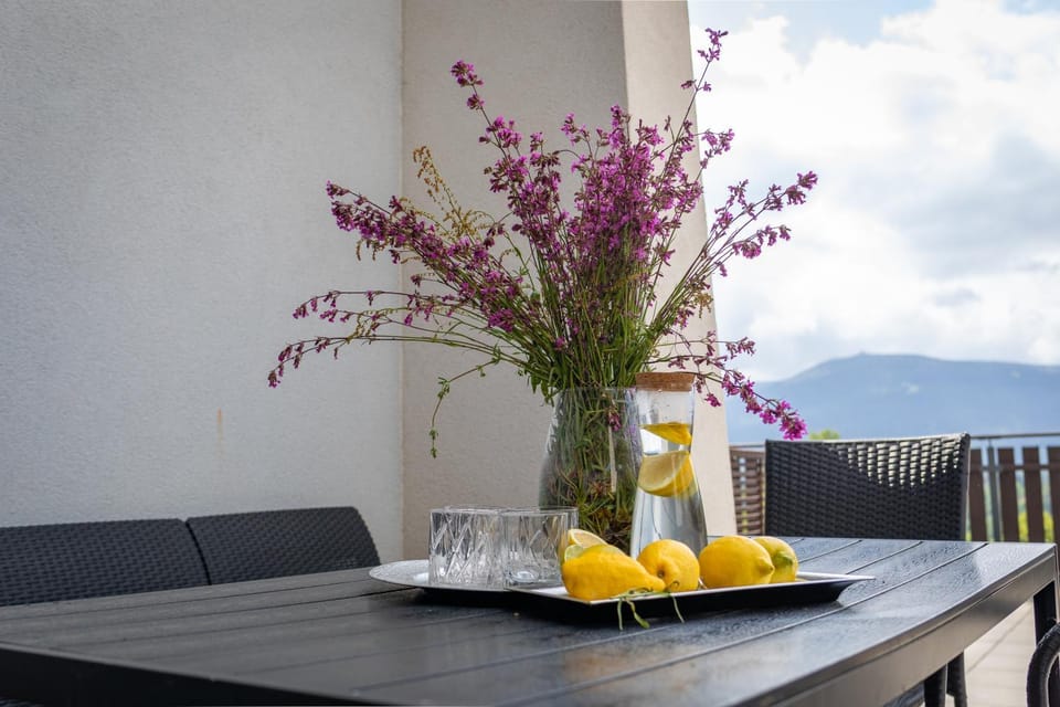 Balcony/Terrace, Mountain view