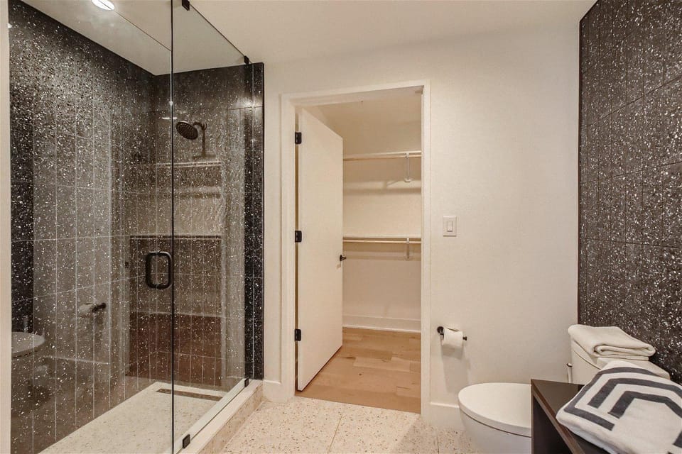 Shower, Toilet, Bathroom, wardrobe