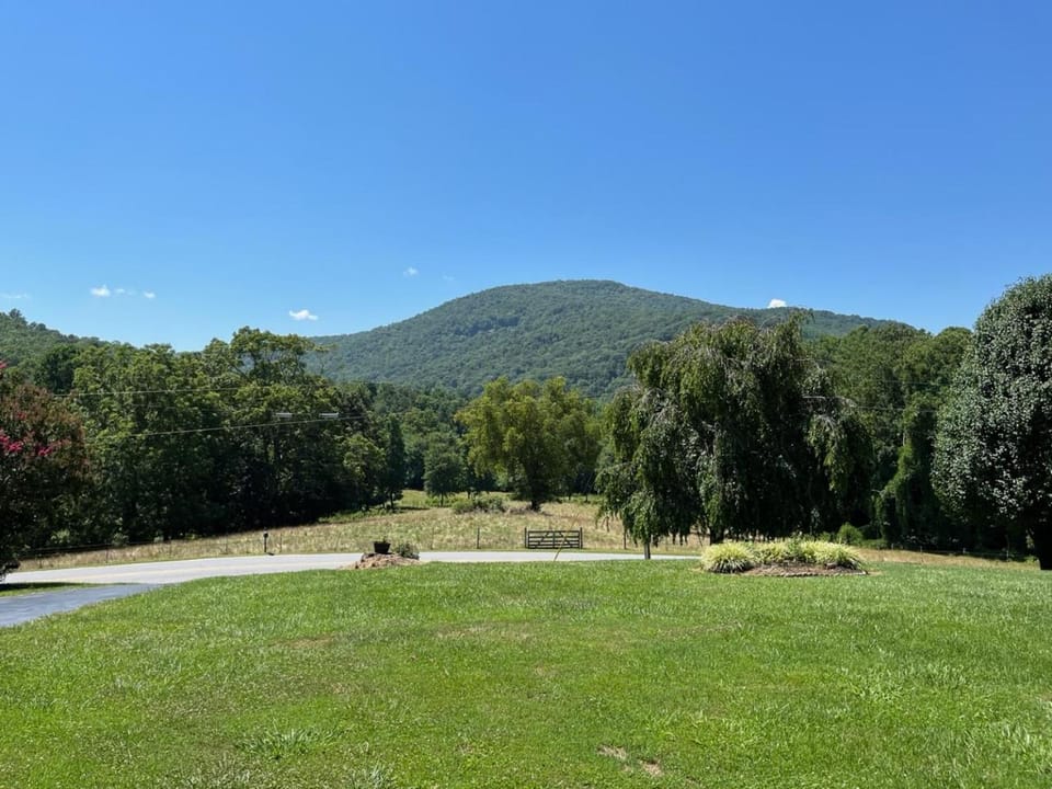 View (from property/room)