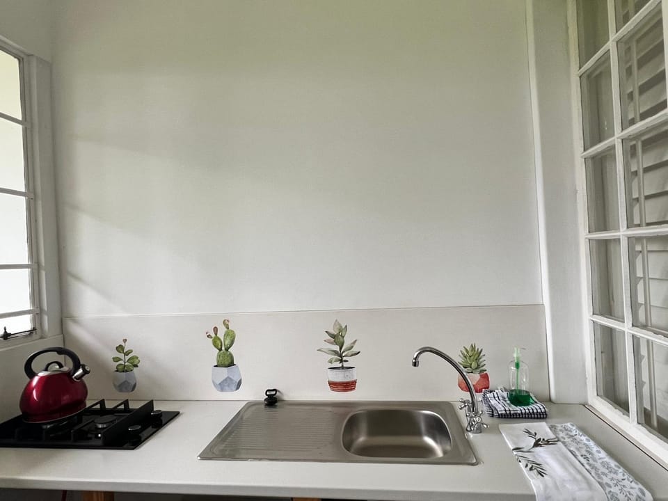 Kitchen or kitchenette, stove