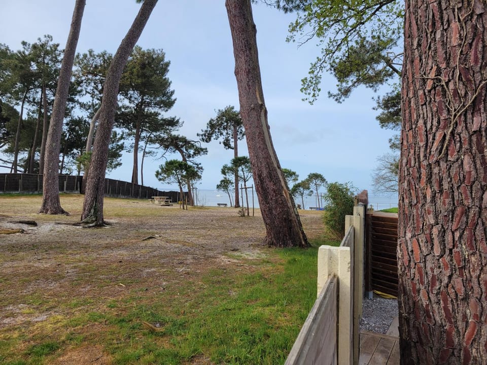 Spring, Day, Natural landscape, View (from property/room), Beach, On site, Sea view