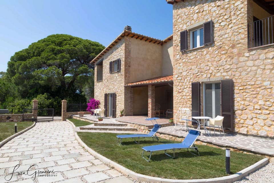 Property building, Garden, sunbed