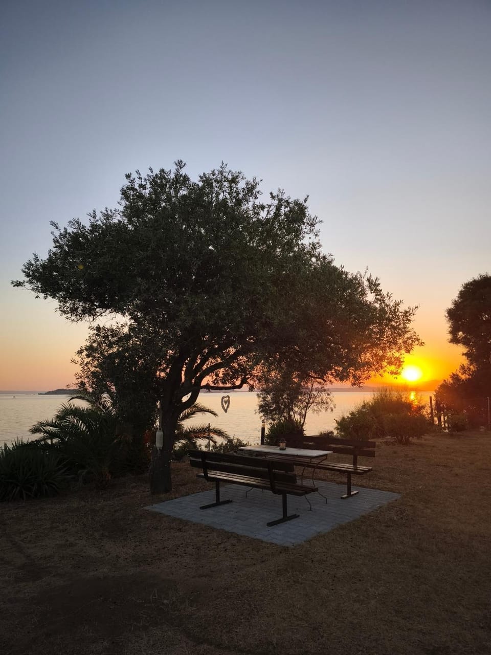 Garden, Sea view