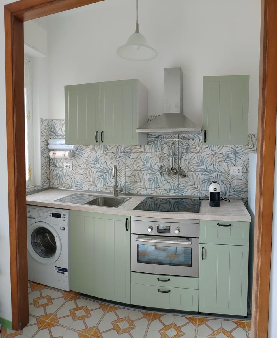 Kitchen or kitchenette, minibar, pet friendly, stove, washing machine