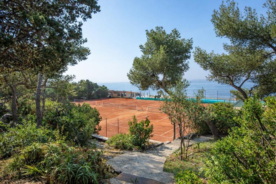 Tennis court