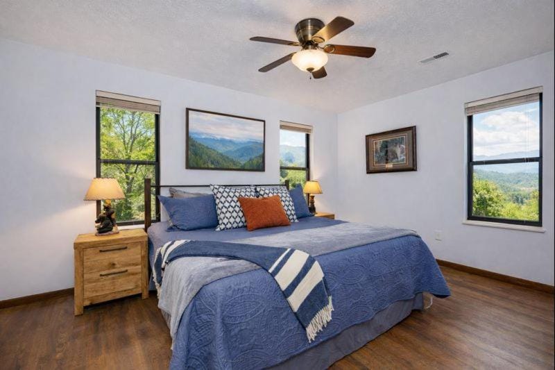 Pet Friendly, Chained in Yard, King Beds, VIEWS, Fire Pit, Spa, Private, Easy Roads House in Sevier County