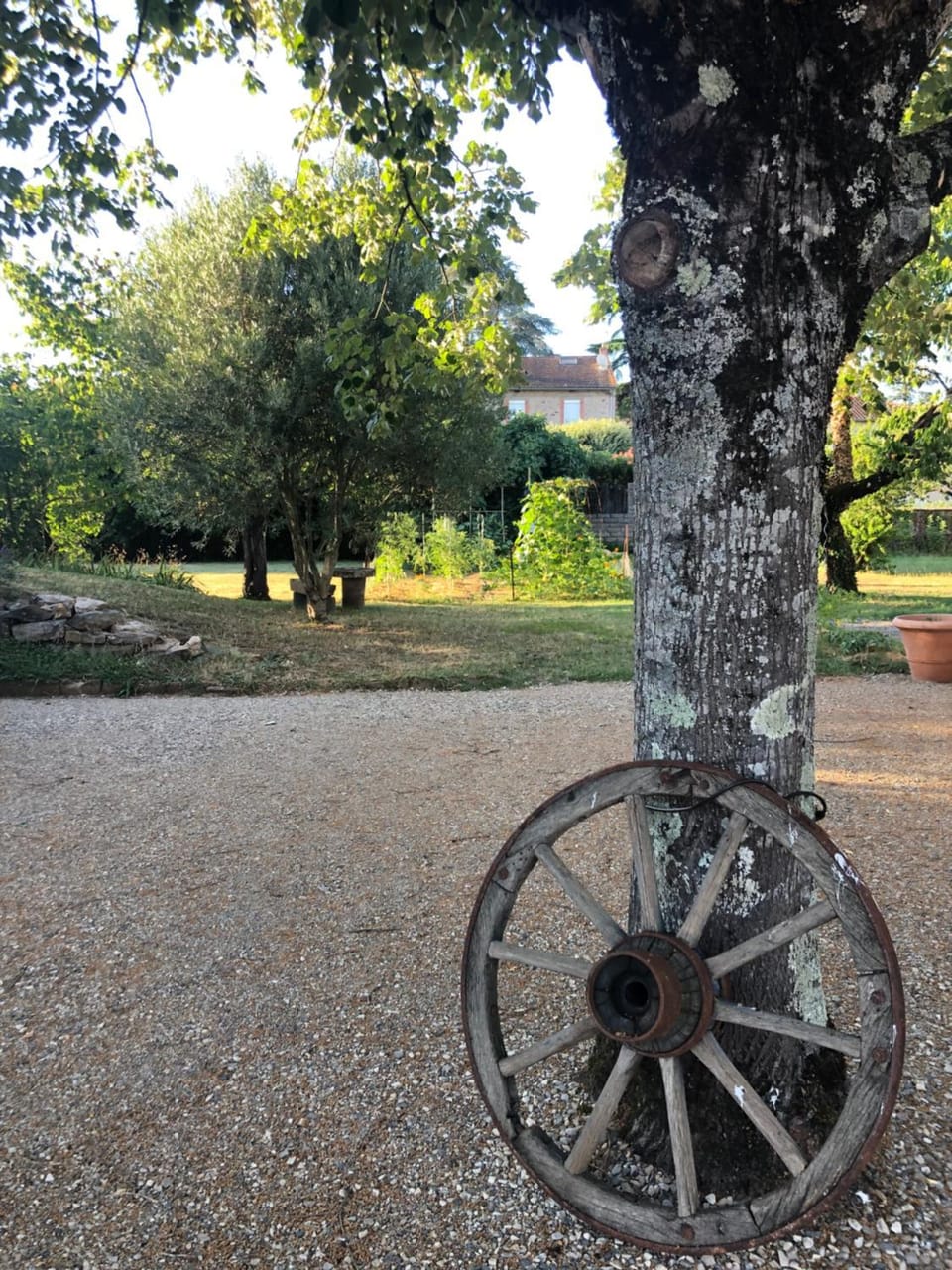 Garden view