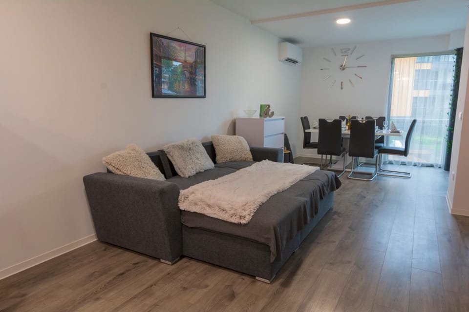TV and multimedia, Living room, Seating area, air conditioner, air conditioner