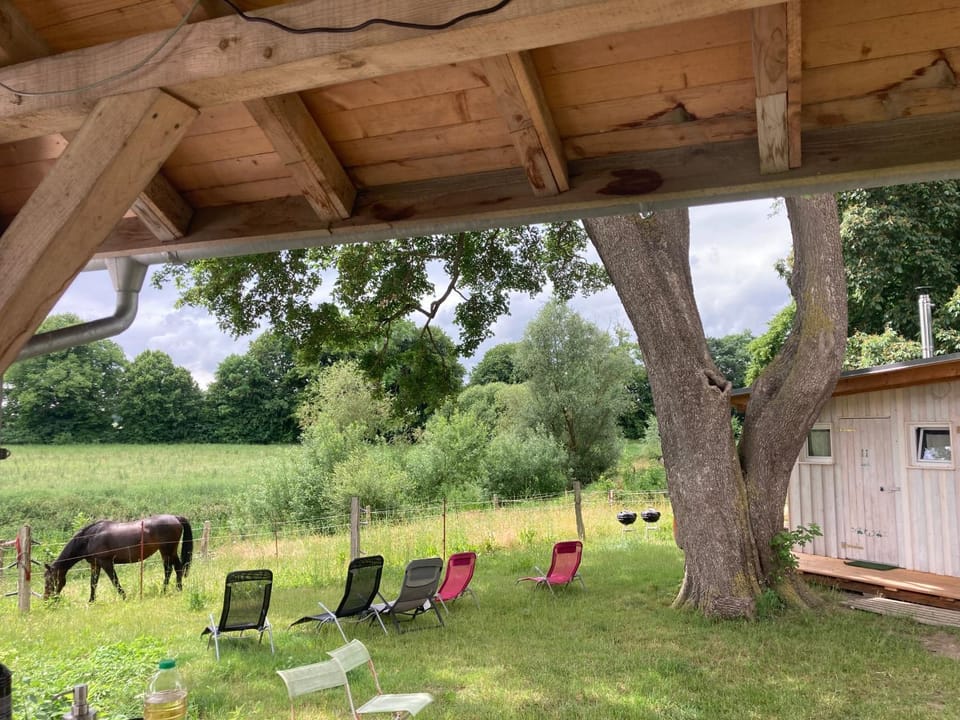 Natural landscape, Garden, Animals, Garden view