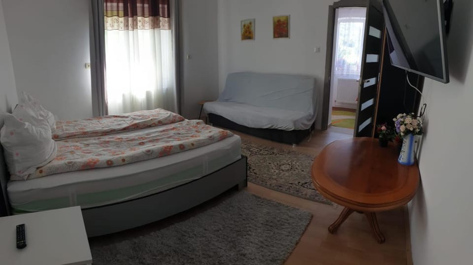 Casa Misha Apartment in Cluj County