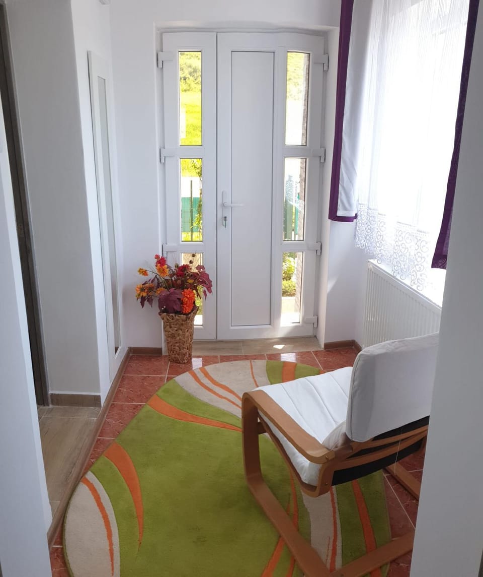 Casa Misha Apartment in Cluj County