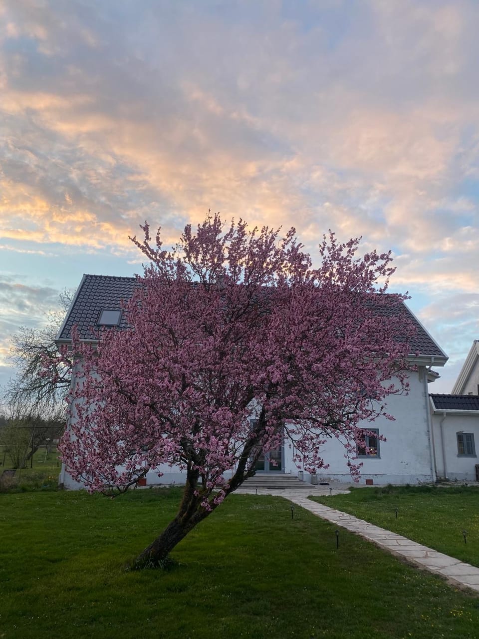 Isomegård Väte Gotland Vacation rental in Gotland County, Sweden