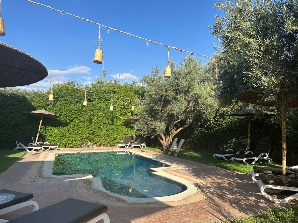 Spring, Day, Natural landscape, Garden, Garden view, Pool view, Swimming pool, Swimming pool, sunbed