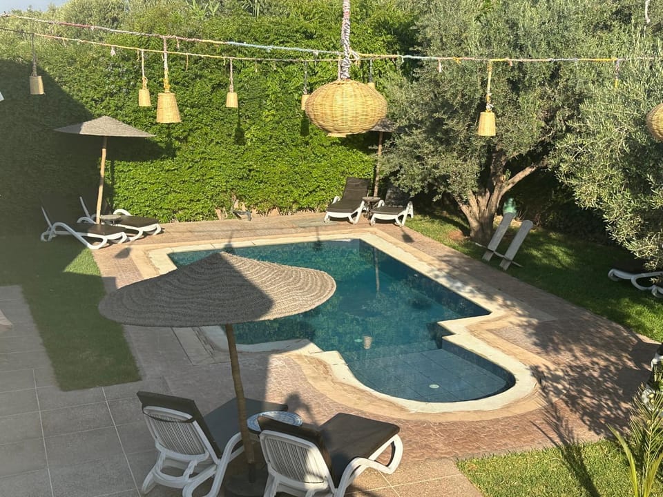 Patio, Natural landscape, Garden, Garden, Garden view, Pool view, Swimming pool, sunbed