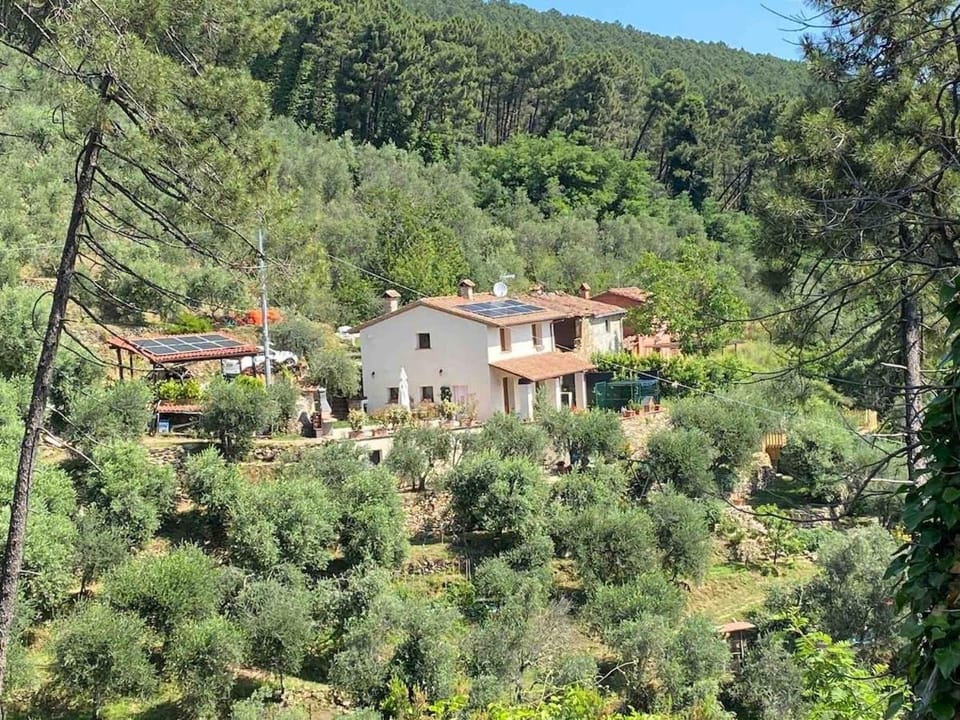 Property building, Spring, Day, Natural landscape, Mountain view