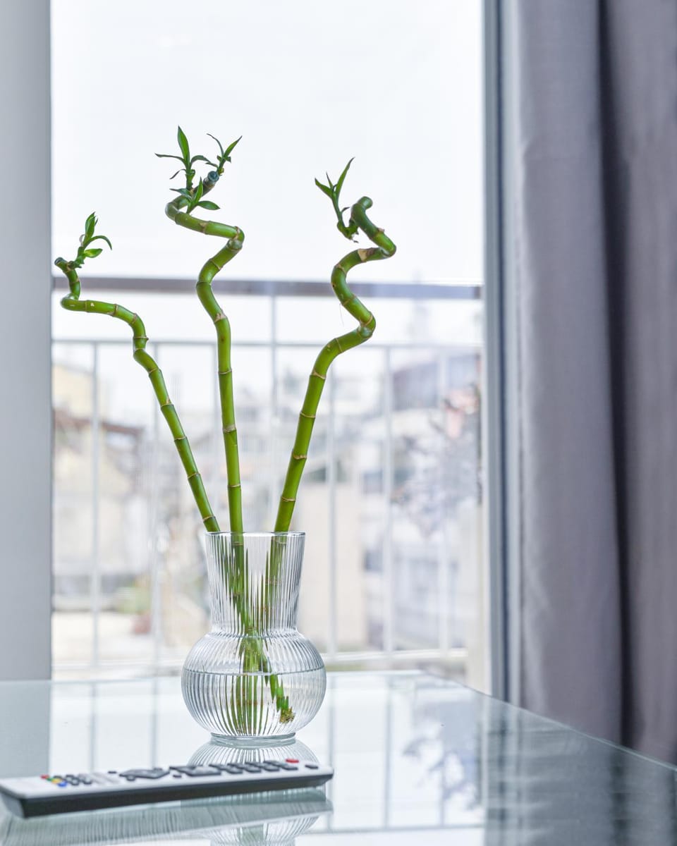 Glassy Apartment Apartment in Athens