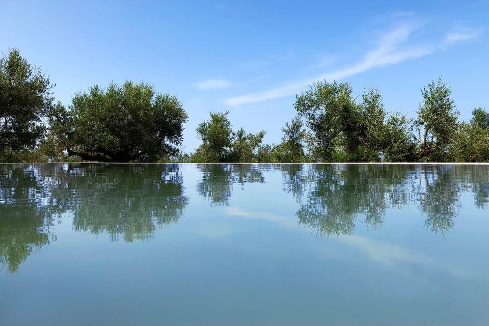 Natural landscape, Pool view, Swimming pool