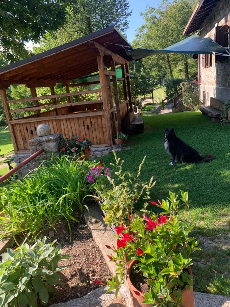 Garden view