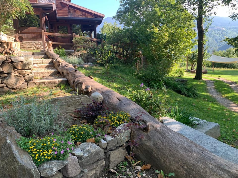 Garden view