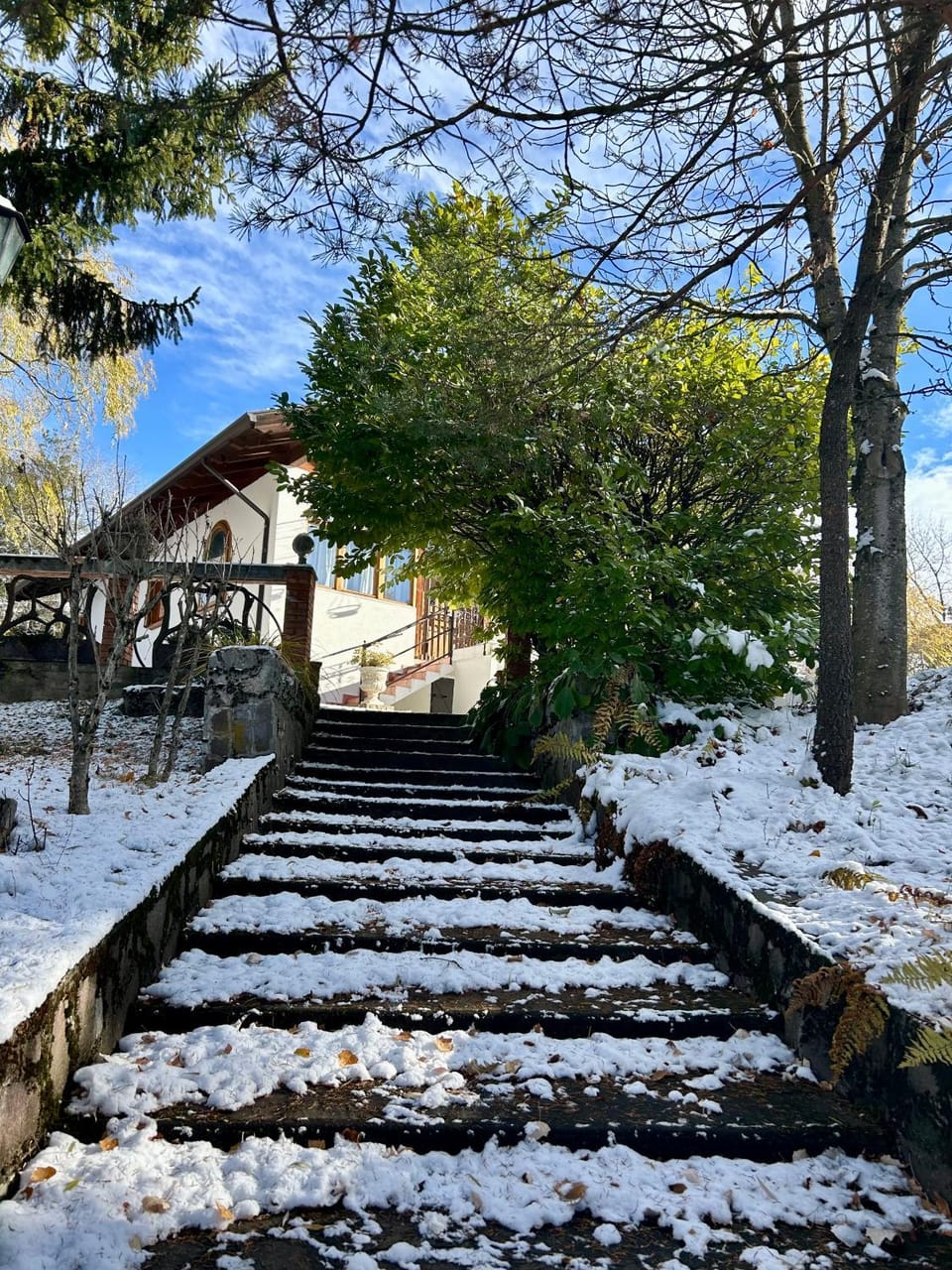 Winter