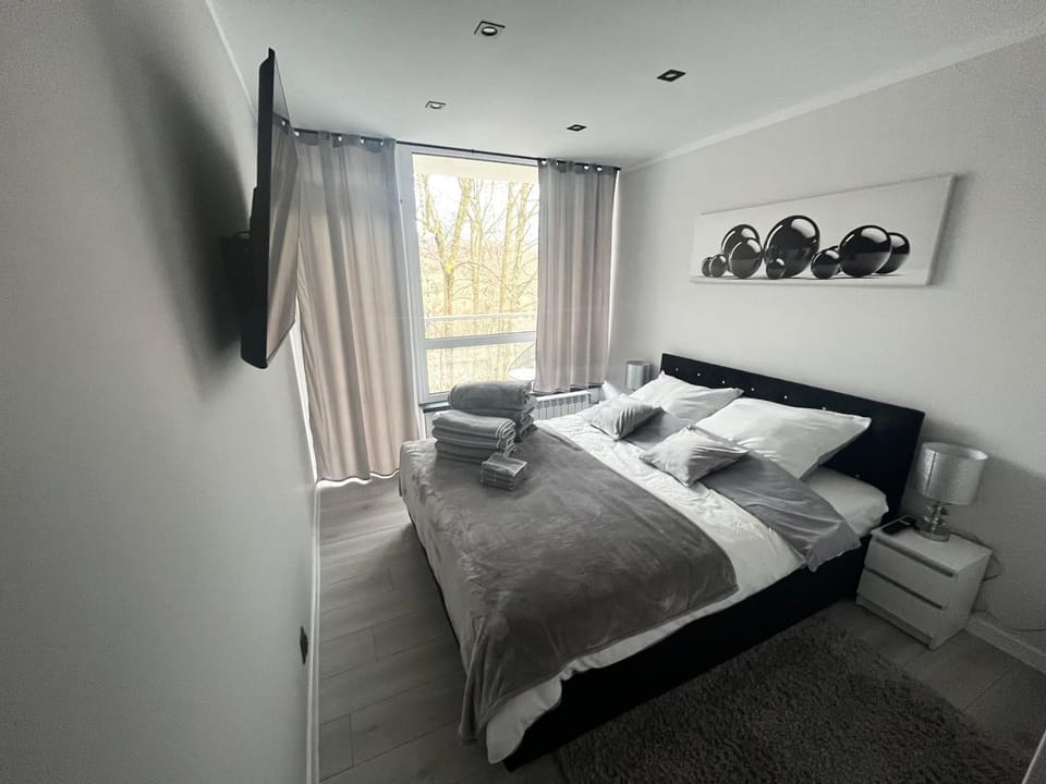 Ustroń Jaszowiec Apartament Apartment in Czechia