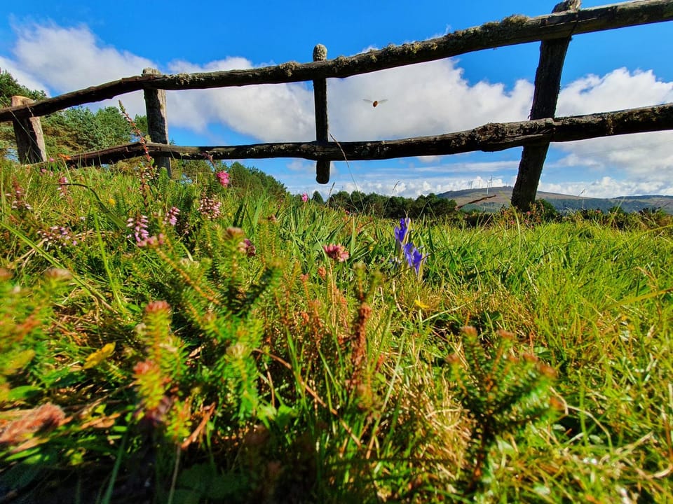 Property building, Spring, Natural landscape