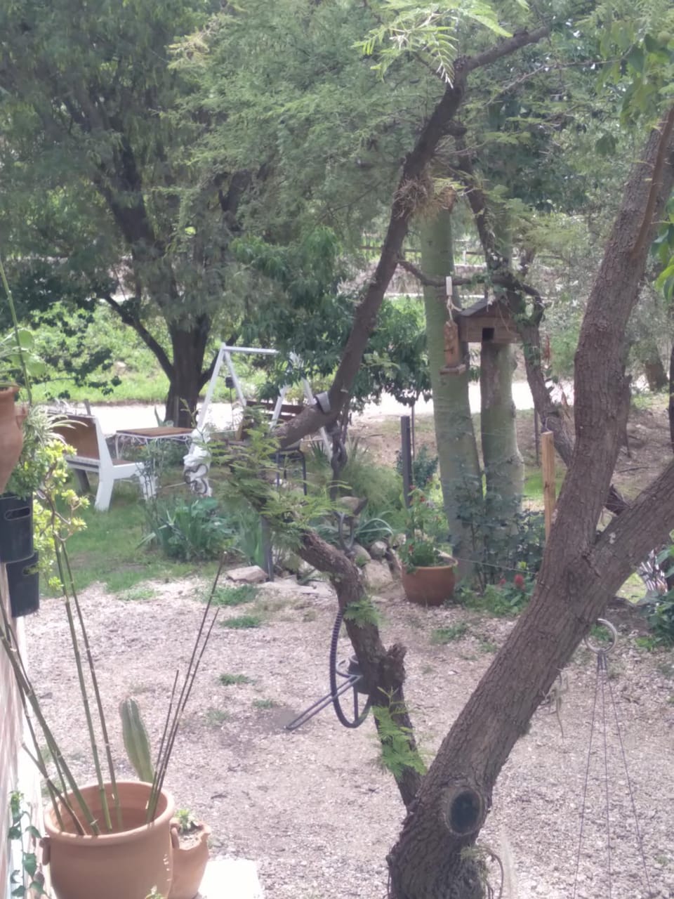 Natural landscape, Garden, Garden view