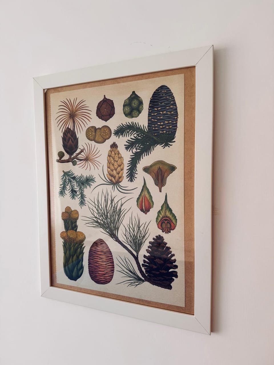 Casa Cocò - Appartamento al mare Apartment in Ostia