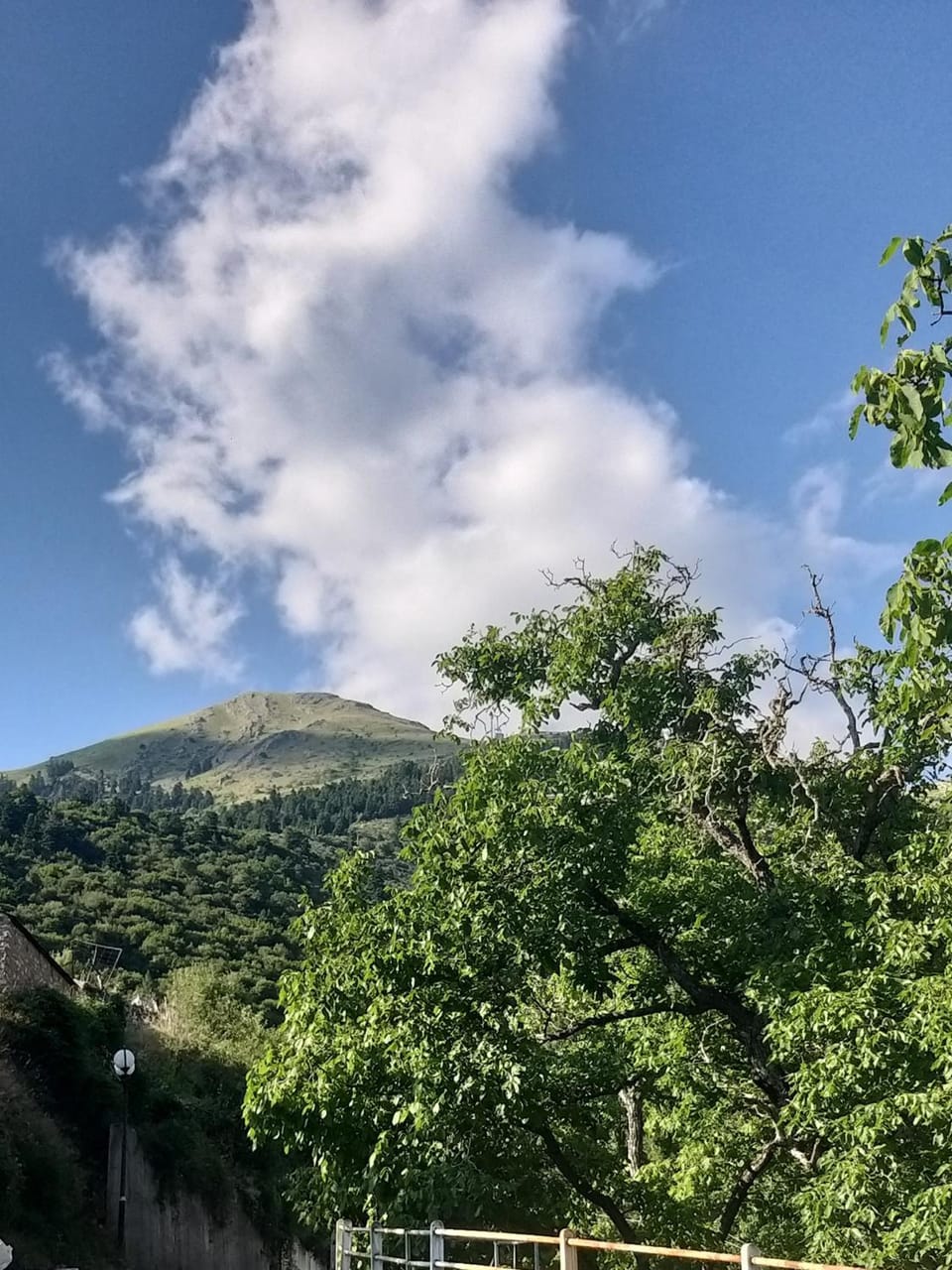 Mountain view