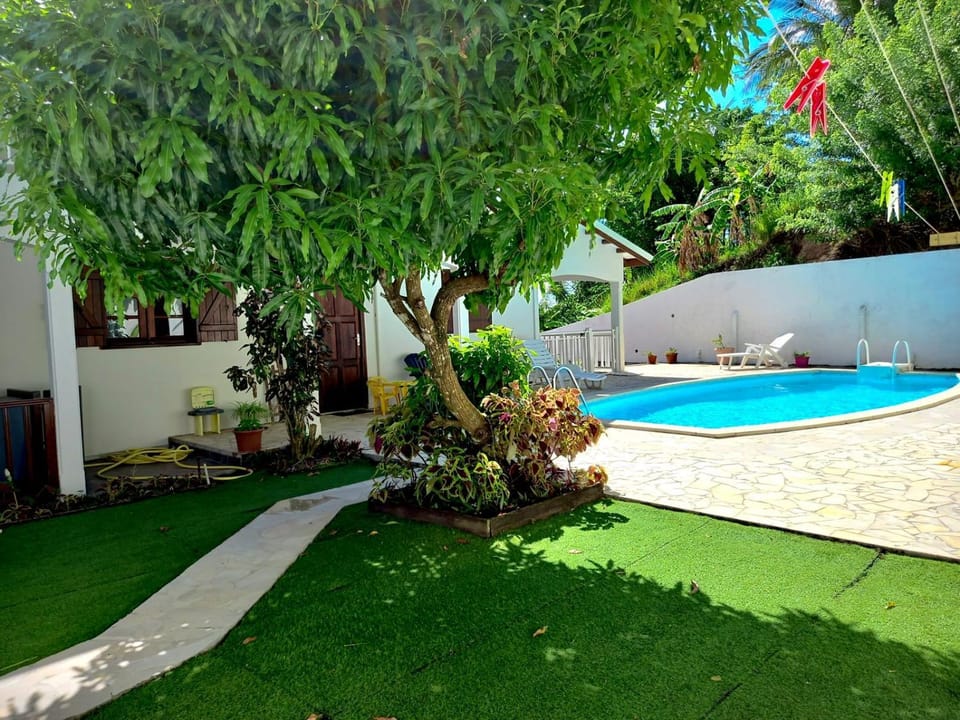 Garden, Garden view, Pool view, Swimming pool