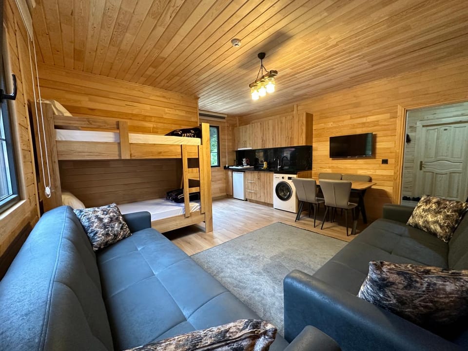 Communal lounge/ TV room, Bed, TV and multimedia, Kitchen or kitchenette, Living room, Photo of the whole room, Seating area, Dining area