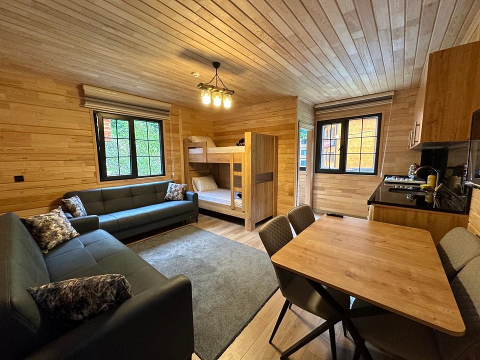 TV and multimedia, Kitchen or kitchenette, Living room, Seating area, Dining area, Landmark view, stove