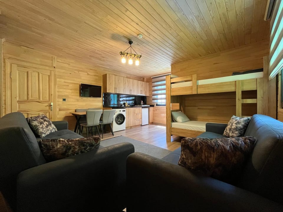 Communal lounge/ TV room, TV and multimedia, Kitchen or kitchenette, Living room, Seating area, Dining area