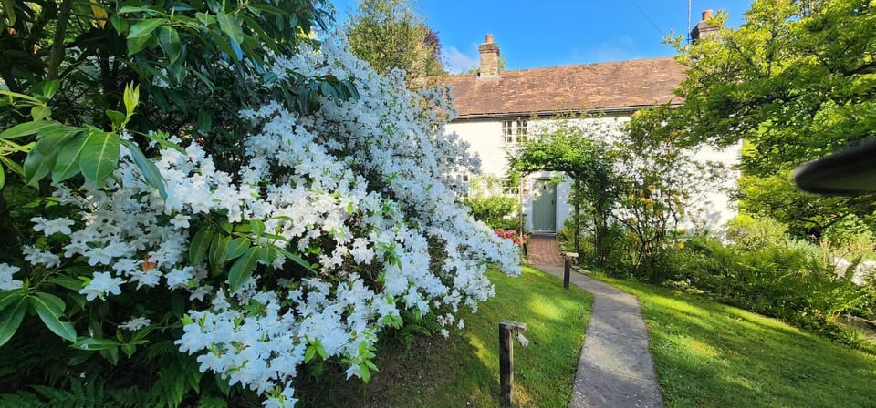 Ashdown Forest character cottage, 18th Century House in Wealden District