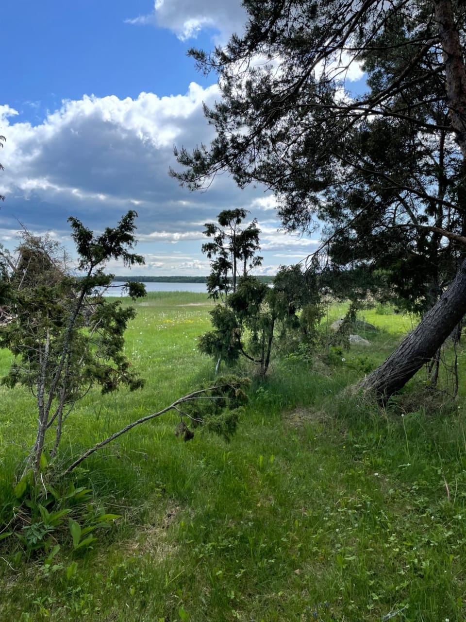 Sea view