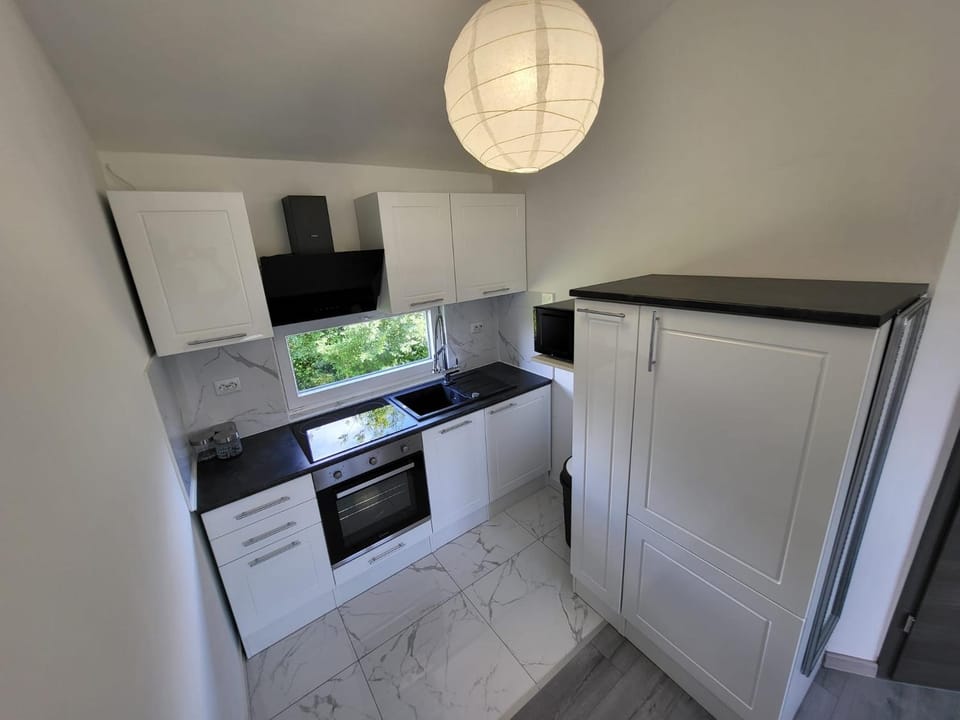 Kitchen or kitchenette, minibar, pet friendly, stove