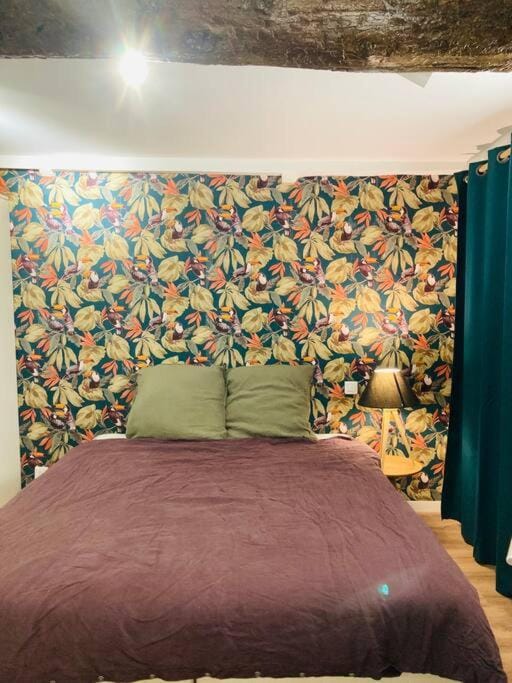 Appartement Vieux Nice Garibaldi rénové Apartment in Nice
