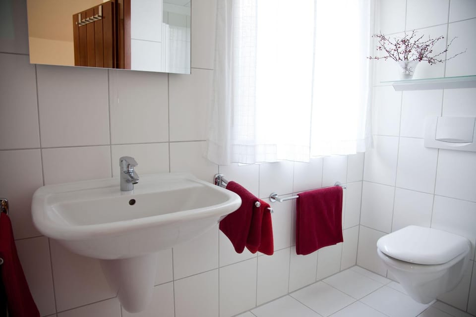 Toilet, Bathroom, towels