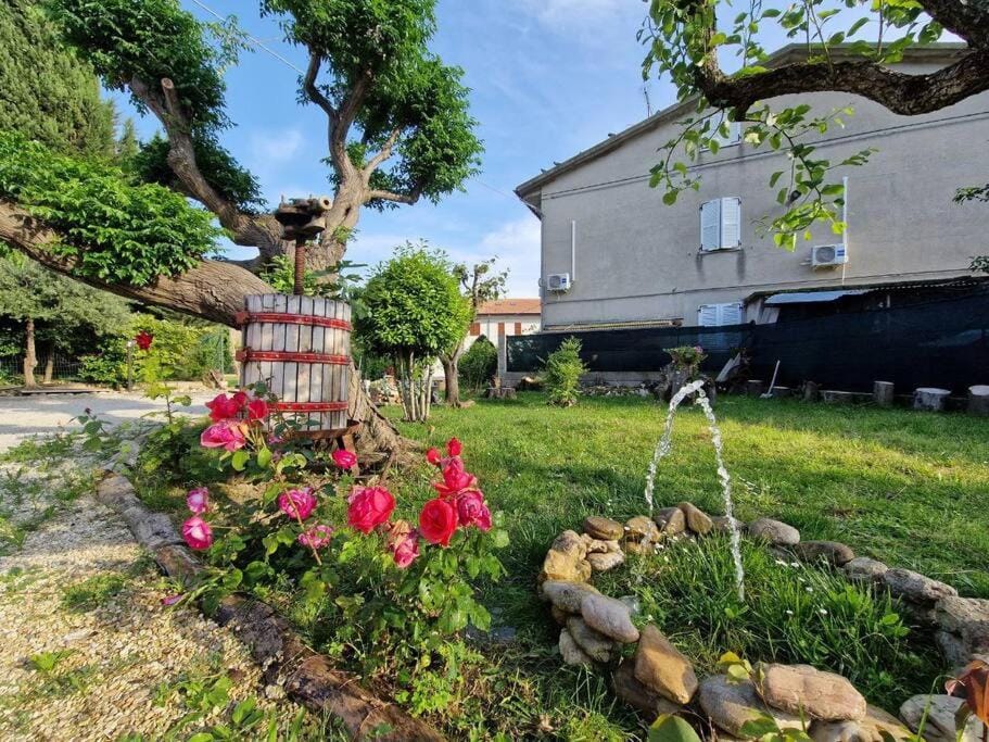 Natural landscape, Garden, Garden view