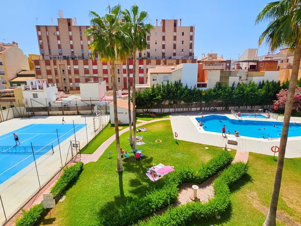 Day, Garden, Swimming pool