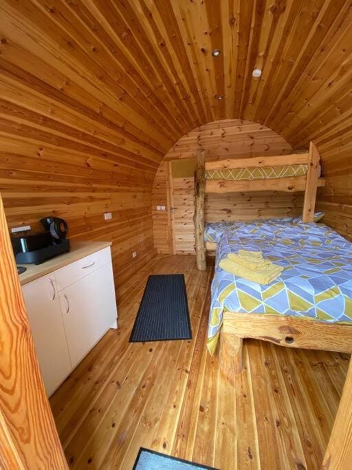 Bed, Photo of the whole room, Bedroom, bunk bed