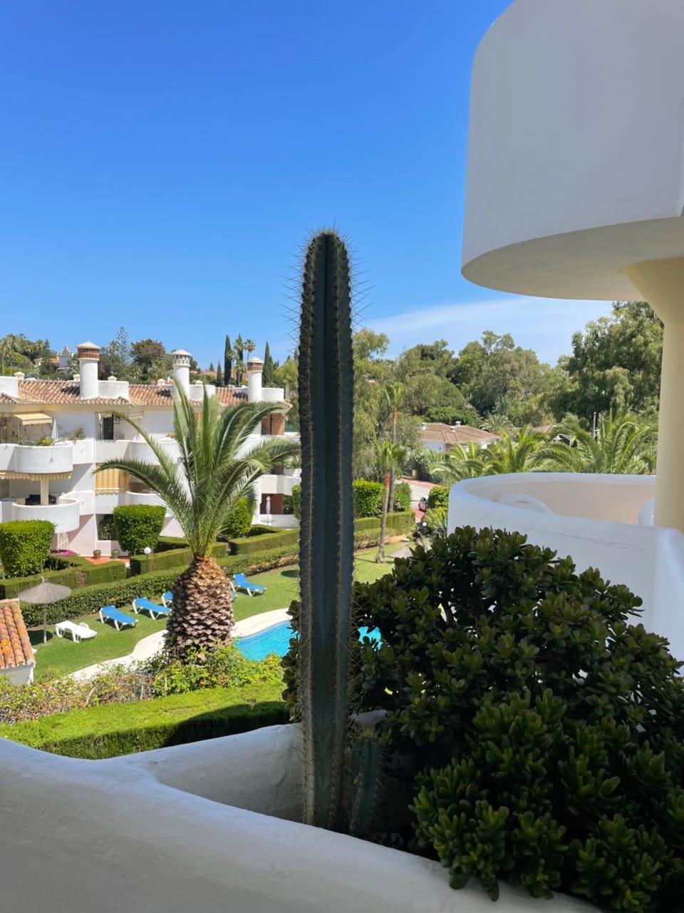Garden view, Swimming pool