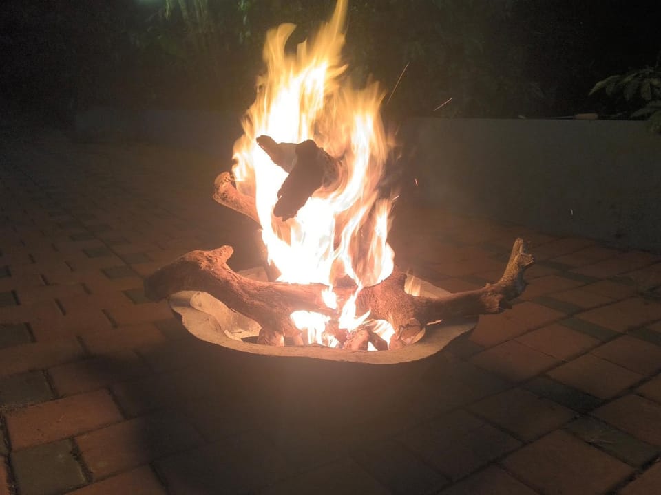Night, BBQ facilities