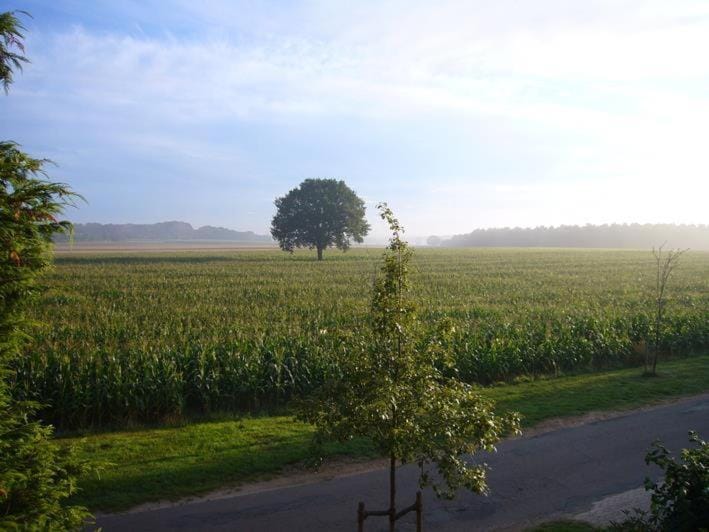 Ferienwohnung zum Regenbogen Apartment in Heidekreis