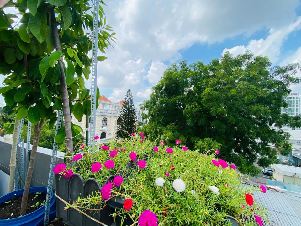 Sweet Home LGBTQ Bed and Breakfast in Ho Chi Minh City
