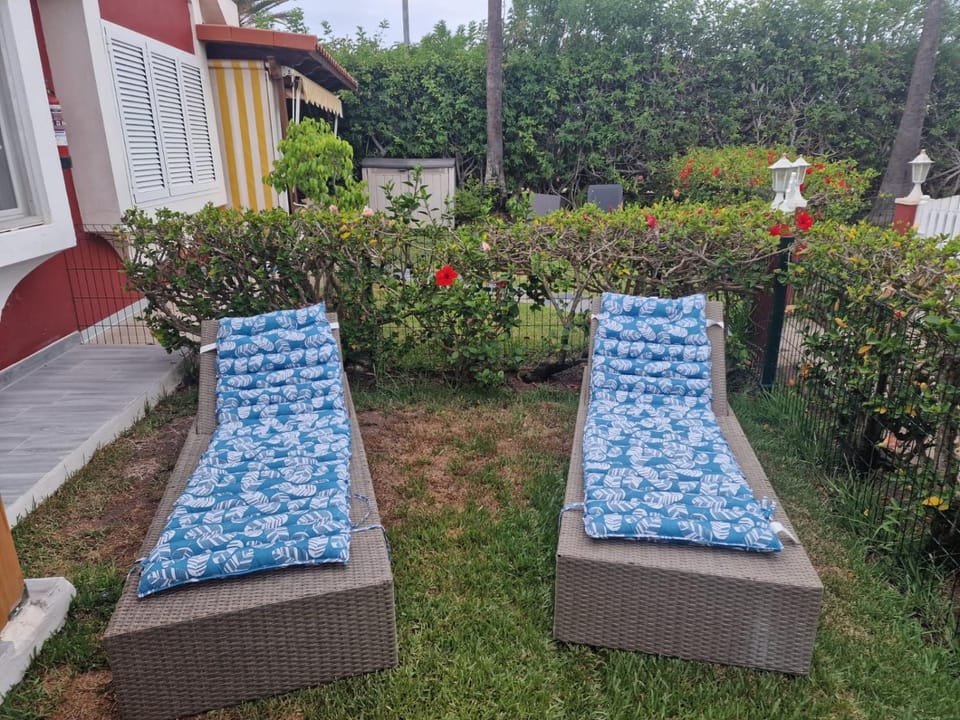 Patio, Garden, Garden view, sunbed