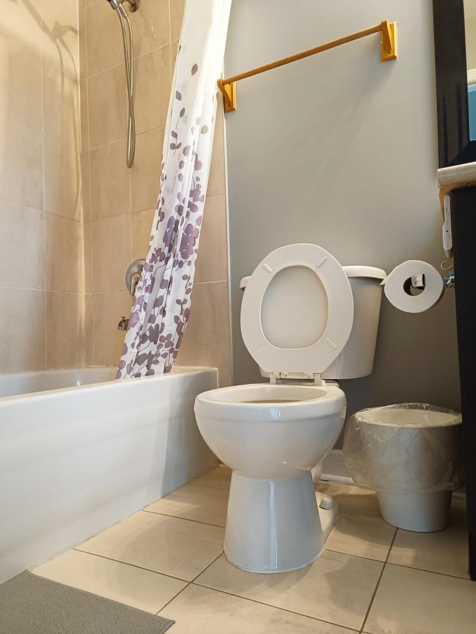 Toilet, Toilet, Bathroom