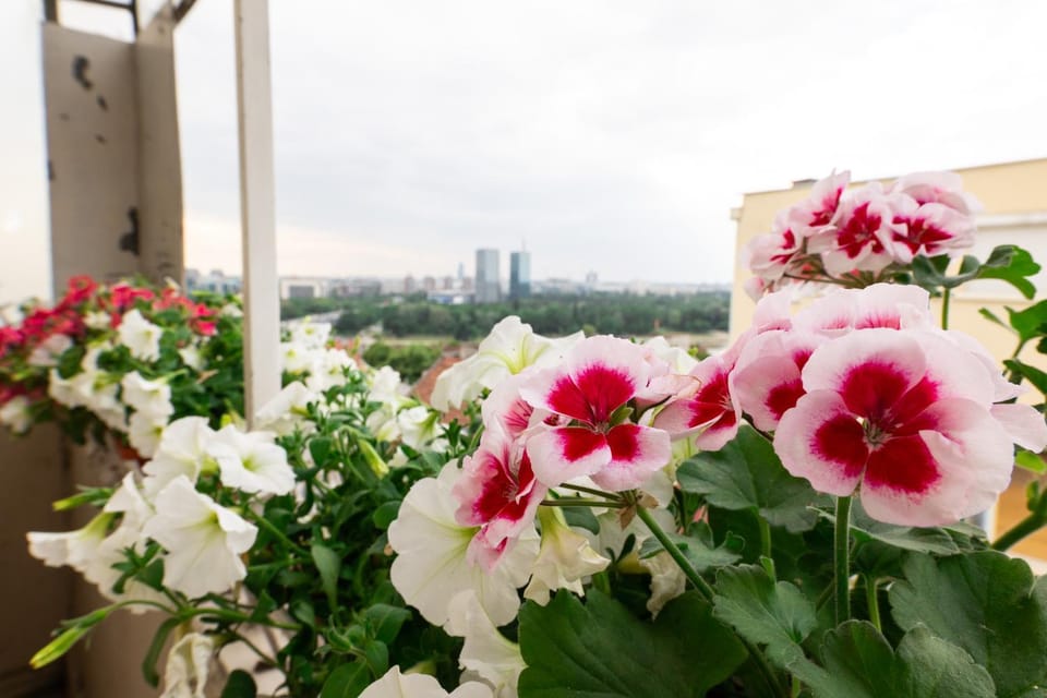 Ugi house - City Center Apartment in Belgrade