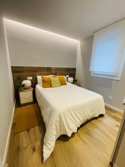 Alex Loft Apartment in Pontevedra
